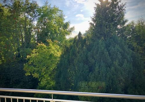 Ruhige West-Terrasse