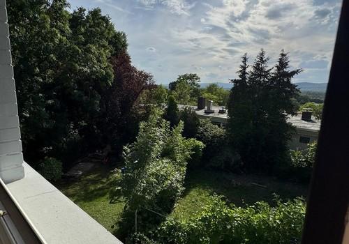 Tanusblick und Garten
