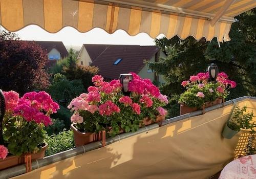 Balkon, Bild 1