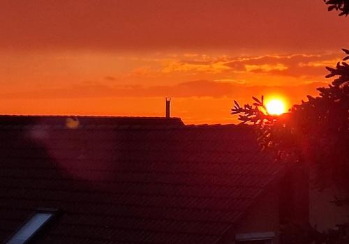 Blick vom Balkon (15.05.2026)