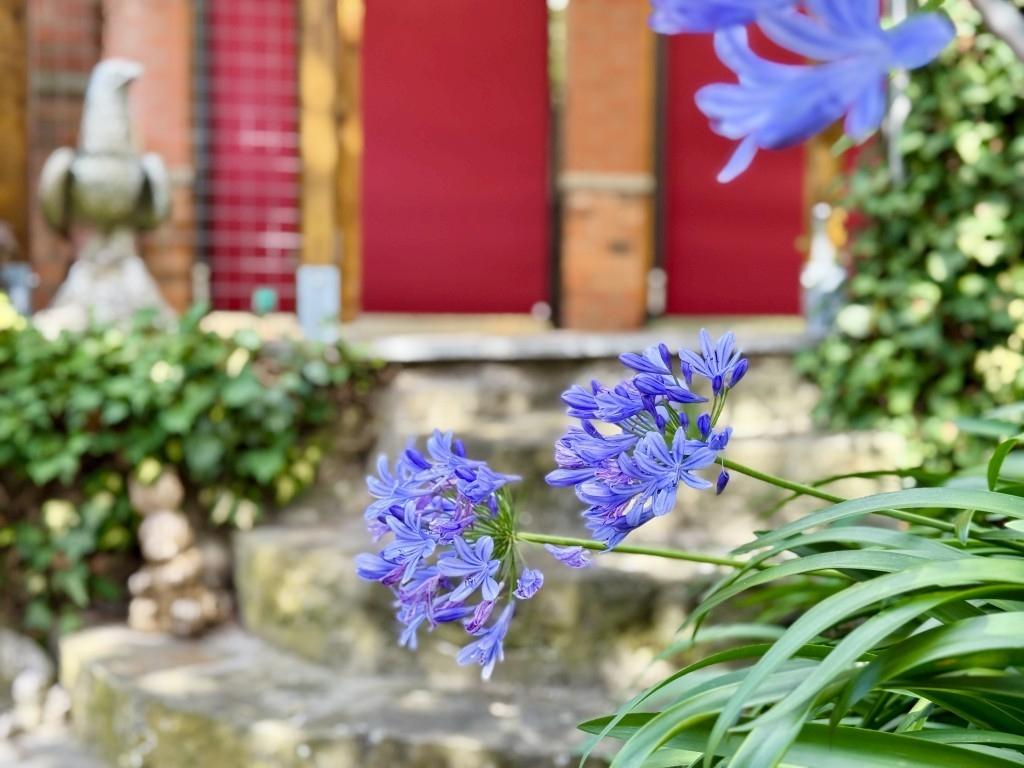 Gartenimpression