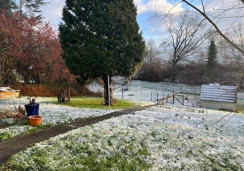 Garten im Winter