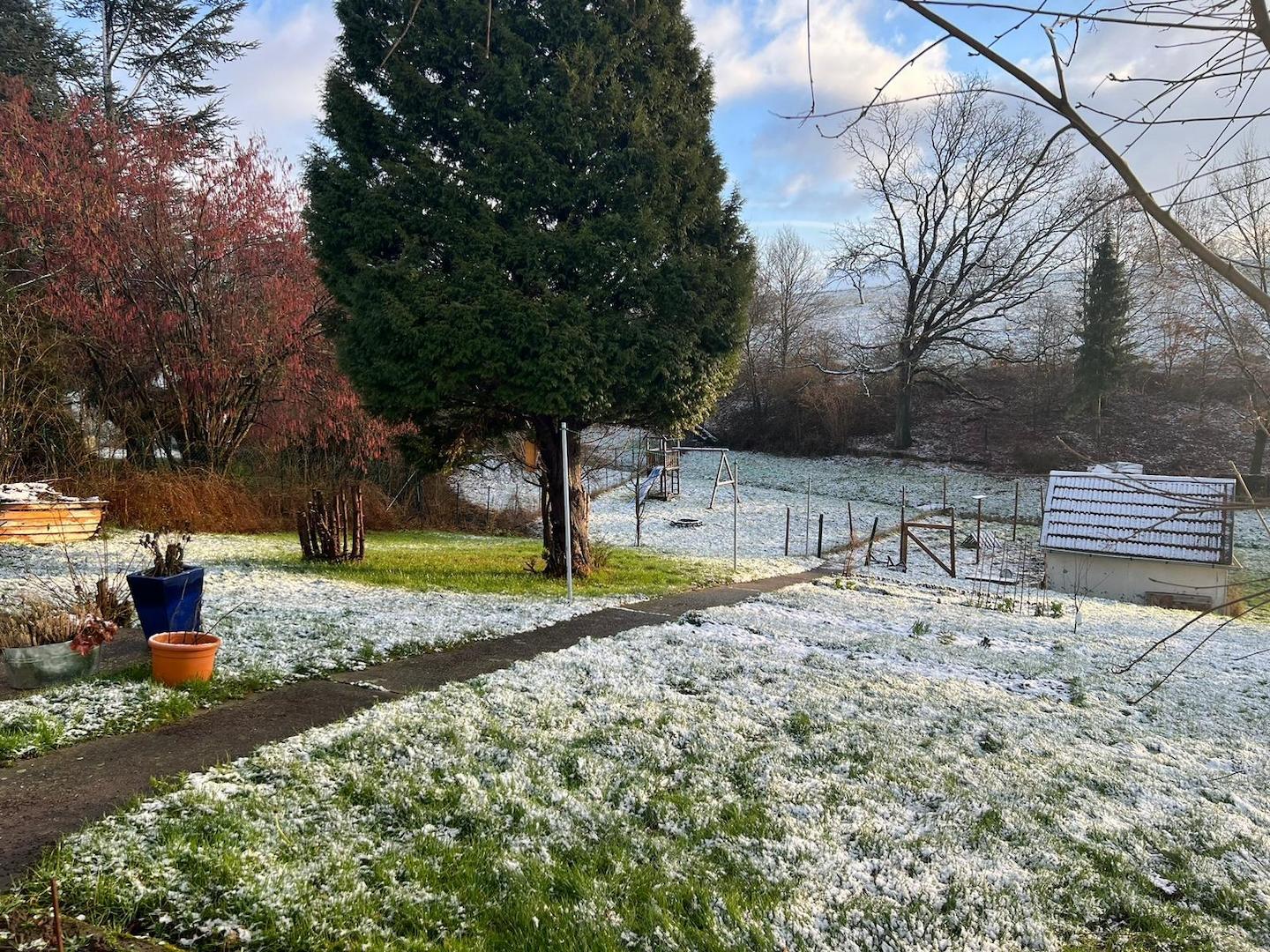 Garten im Winter