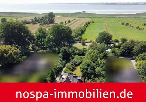 Die Nordsee zum Greifen nah!