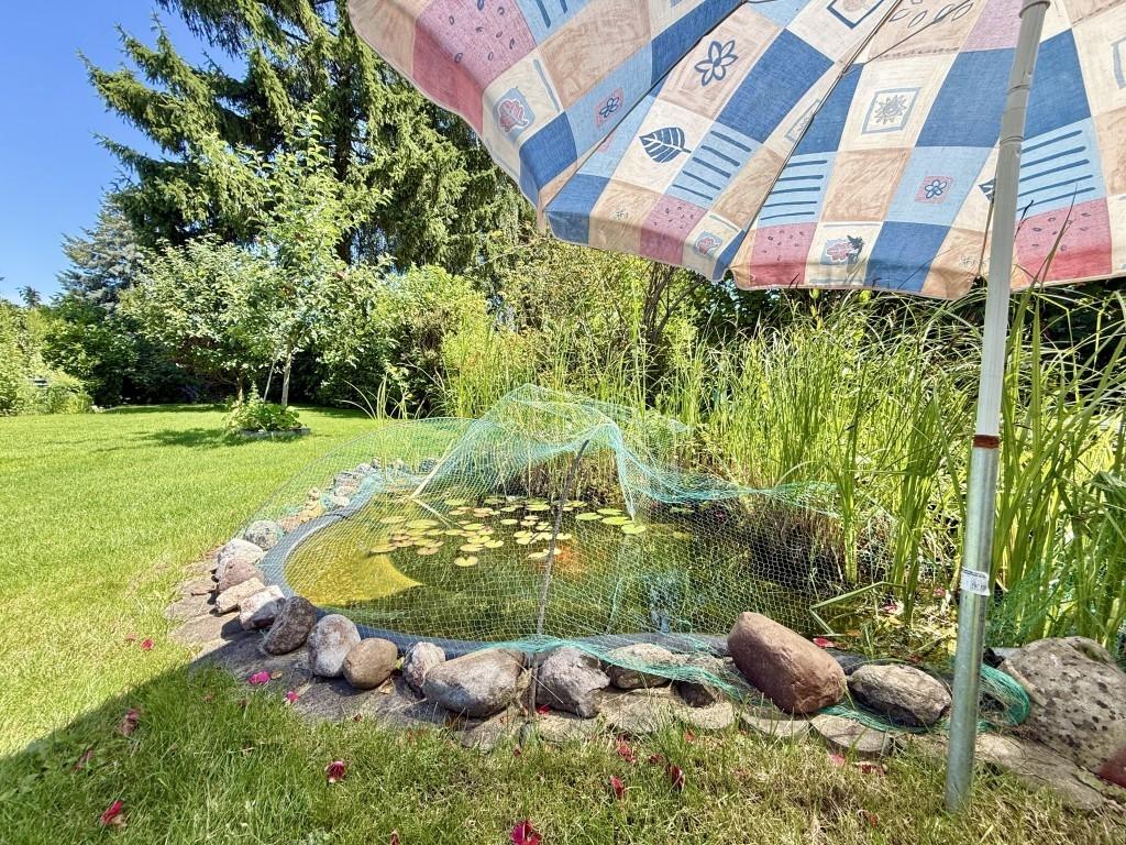 kleiner Teich