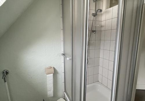 Bad mit Dusche, WC und Waschbecken DG