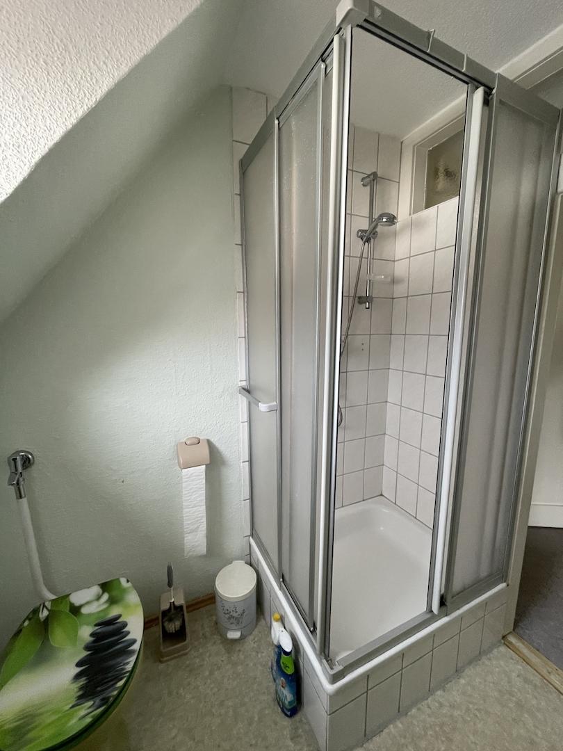 Bad mit Dusche, WC und Waschbecken DG