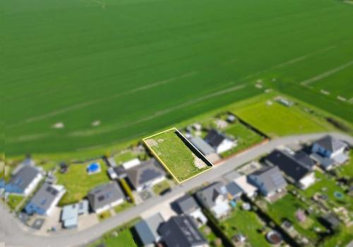 Feldlage