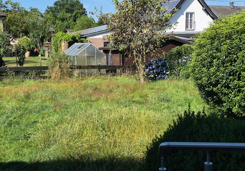 Blick in den Garten