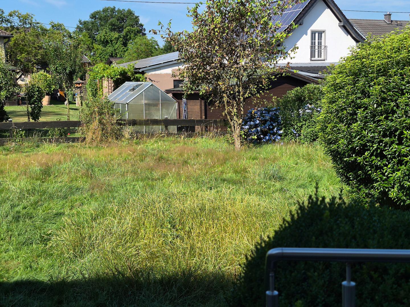 Blick in den Garten