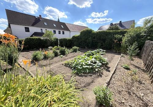 Gemüsegarten