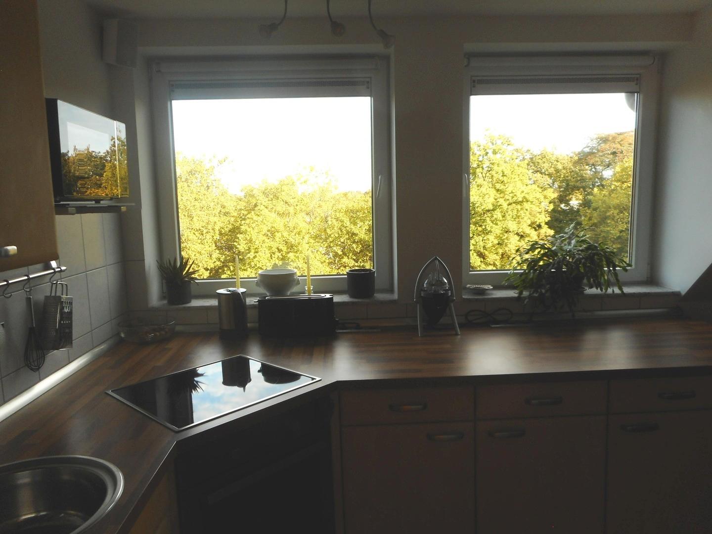 Blick aus dem Küchenfenster