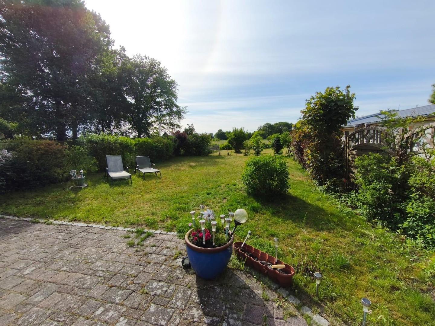 Blick in den Garten