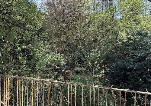Ansicht Garten