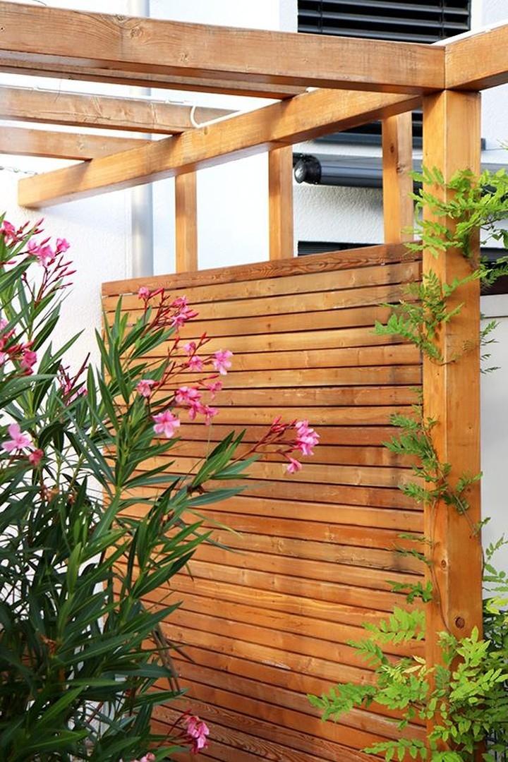 Garten: Sichtschutz /2022