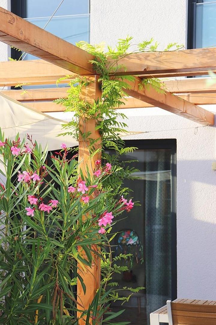 Garten: Pergola /2022