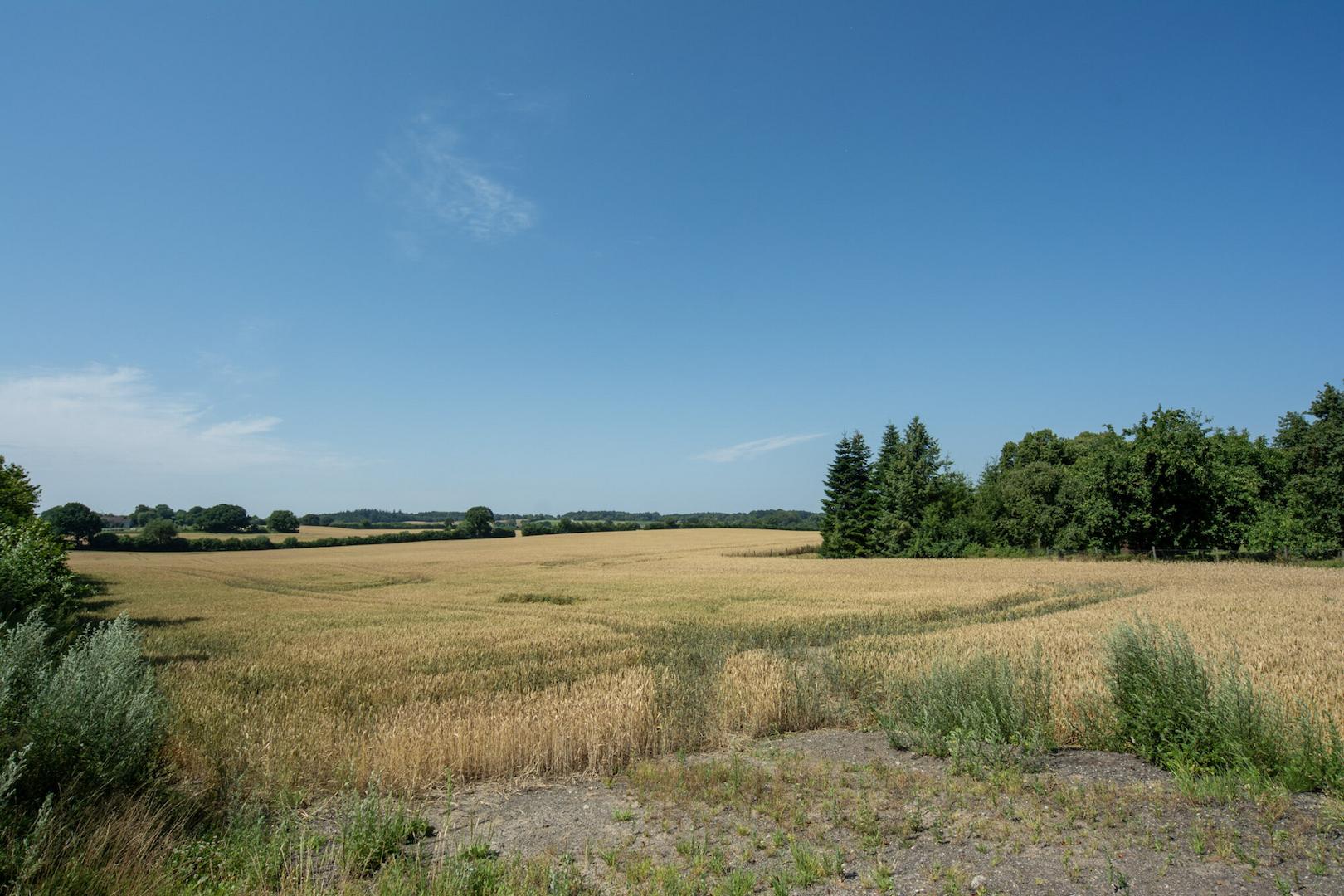78.406 m² arrondierte Ackerflächen
