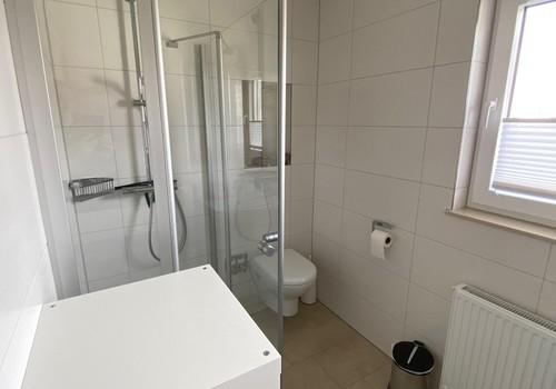 Badezimmer Duschkabine und WC