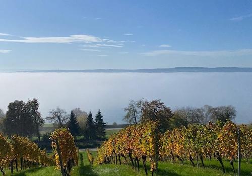 Herbststimmung am See