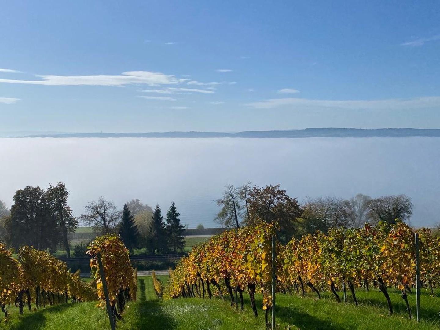 Herbststimmung am See