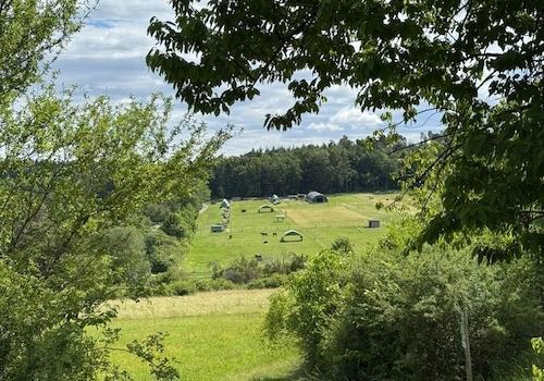 Spaziergang zum Büchelberg
