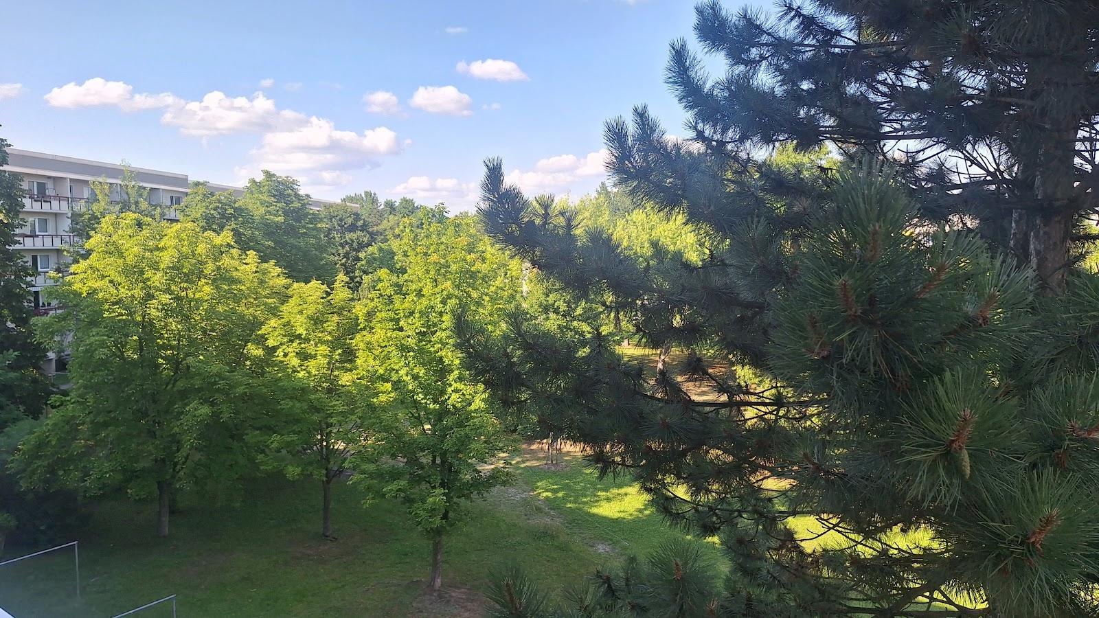 Aussicht Hofbereich