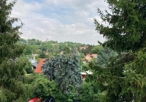 Blick aus dem Schlafzimmer