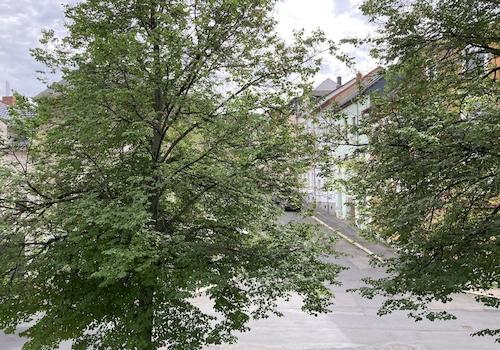 Ausblick