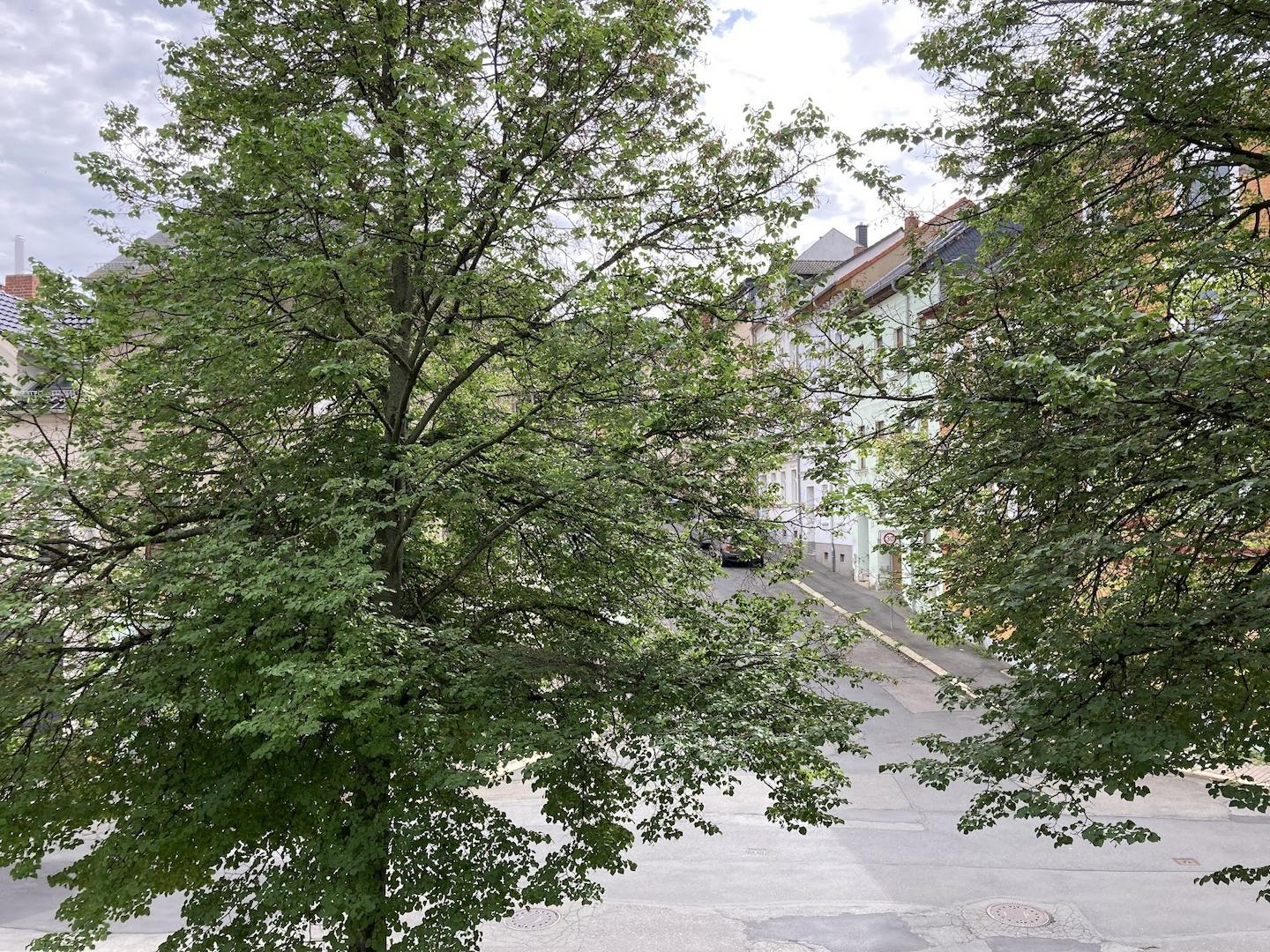 Ausblick