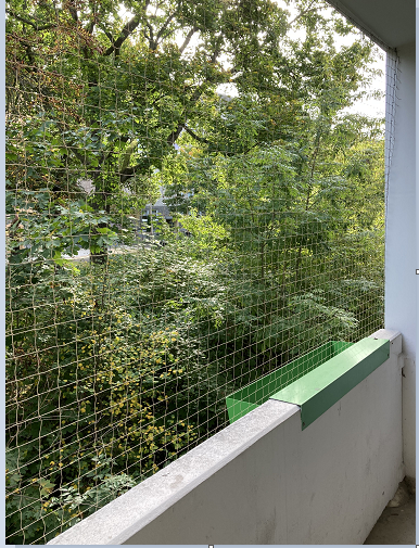 Balkon (Muster)