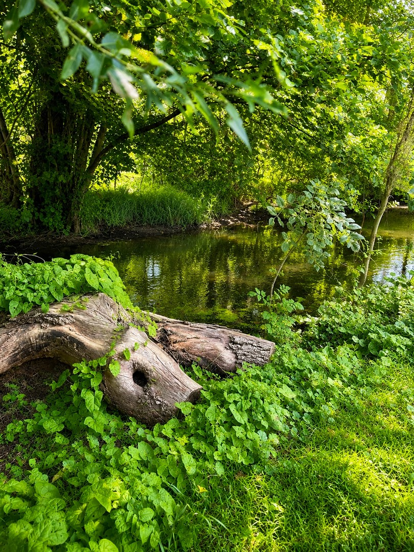 Natur pur
