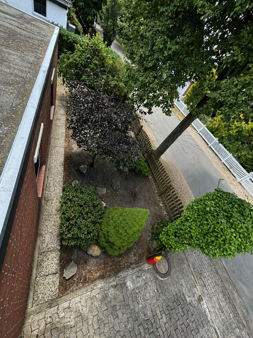 Vorderer Garten