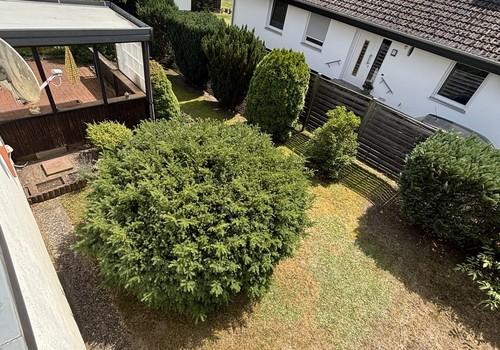 Garten Linke Seite