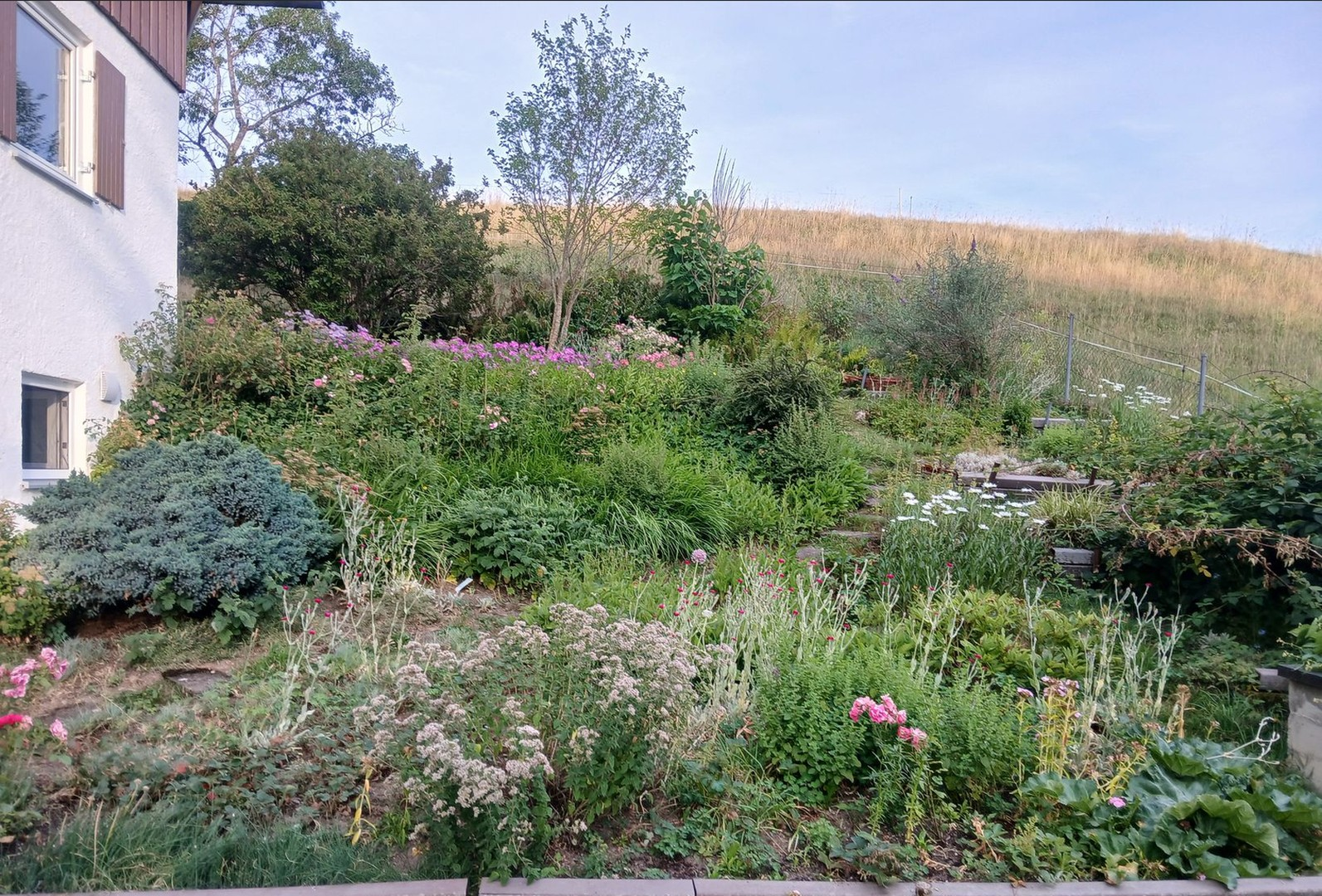 Gemeinschaftsgarten