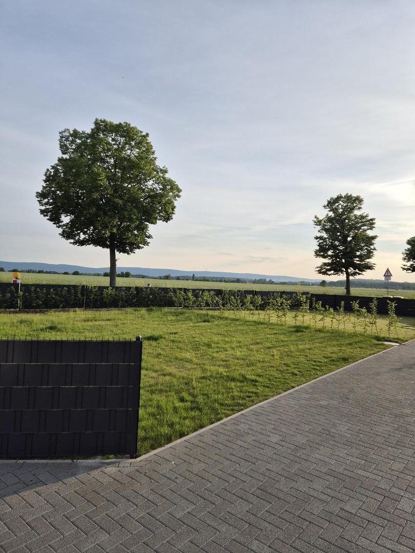 Vordergarten