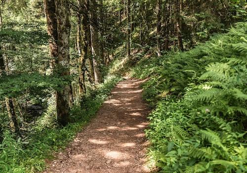 Wanderweg Ravennaschlucht