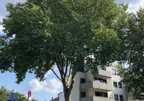 Hausfront Vorderseite