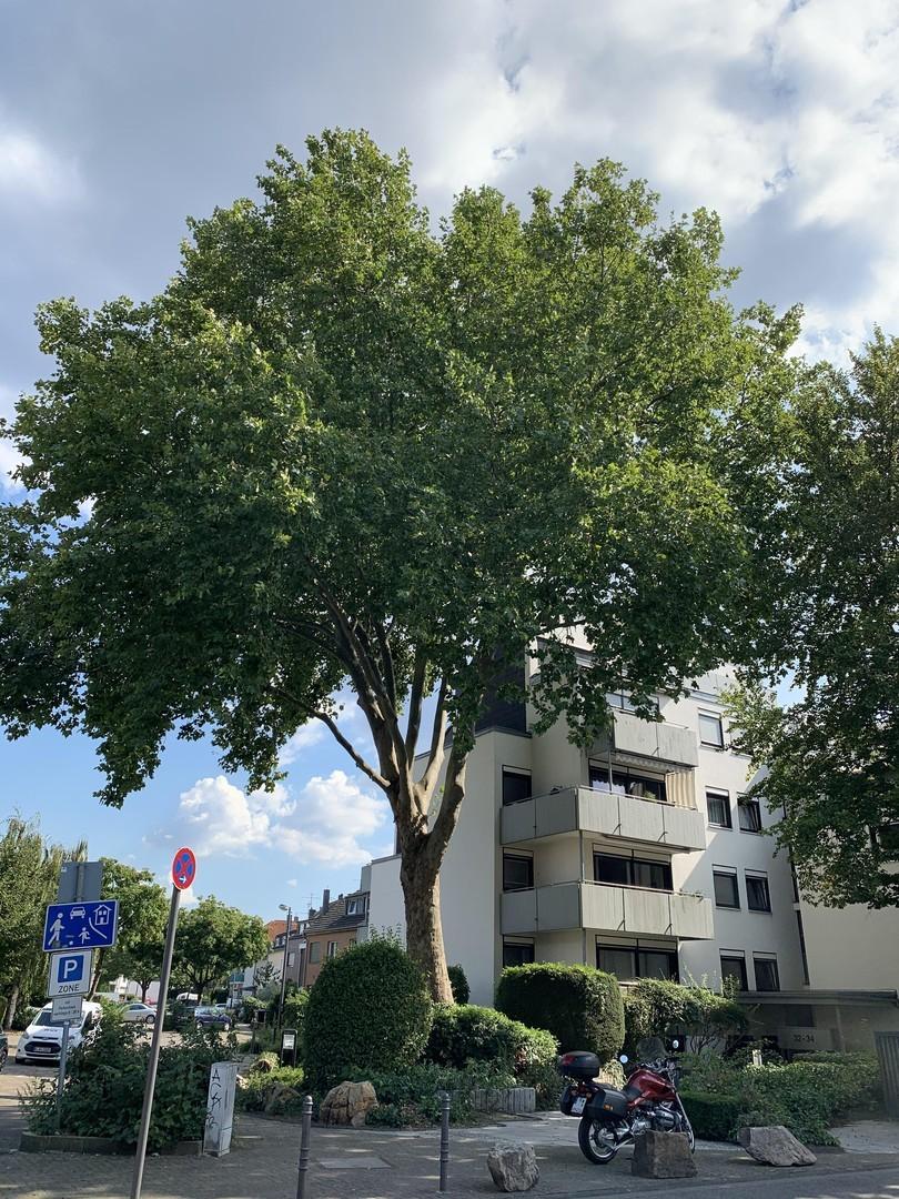 Hausfront Vorderseite