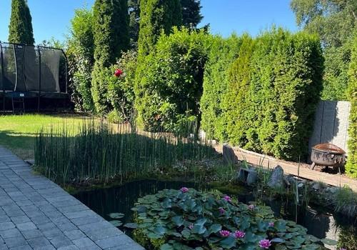 Garten mit Teich