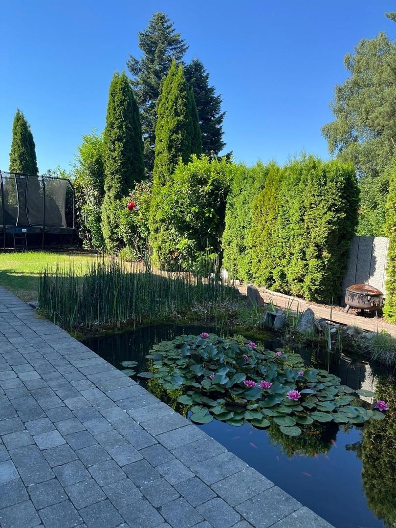 Garten mit Teich