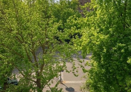 Ausblick Wohnzimmer