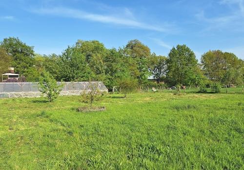Obstwiese Südseite