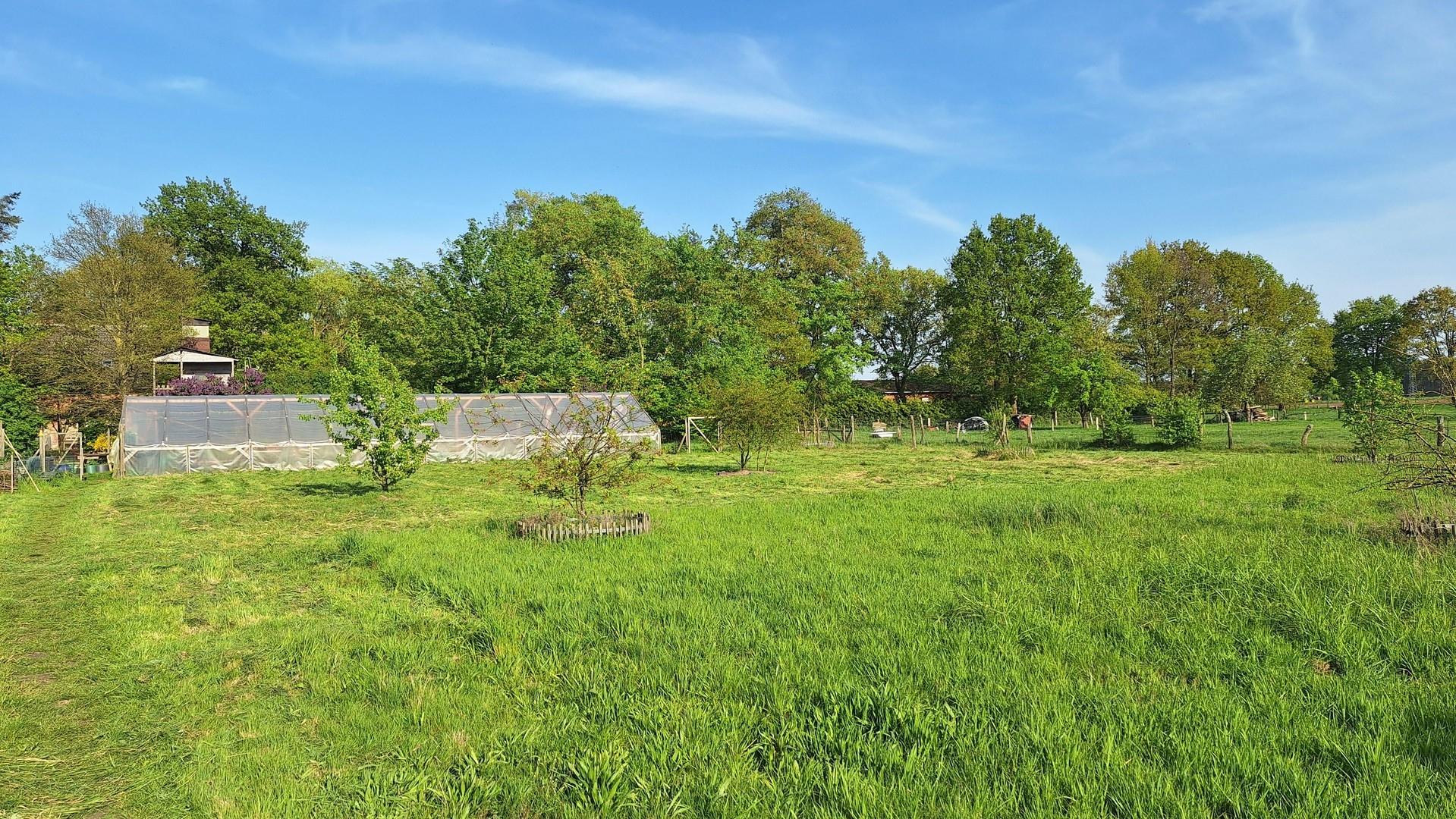 Obstwiese Südseite