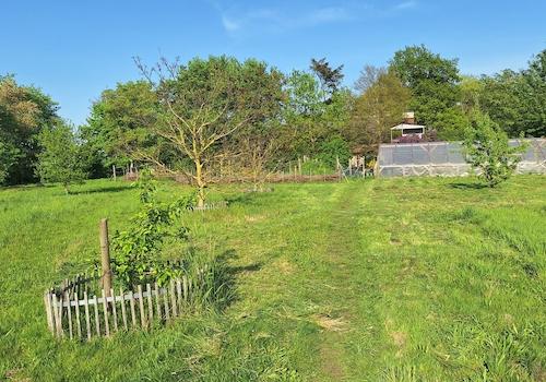 Obstwiese Nordseite