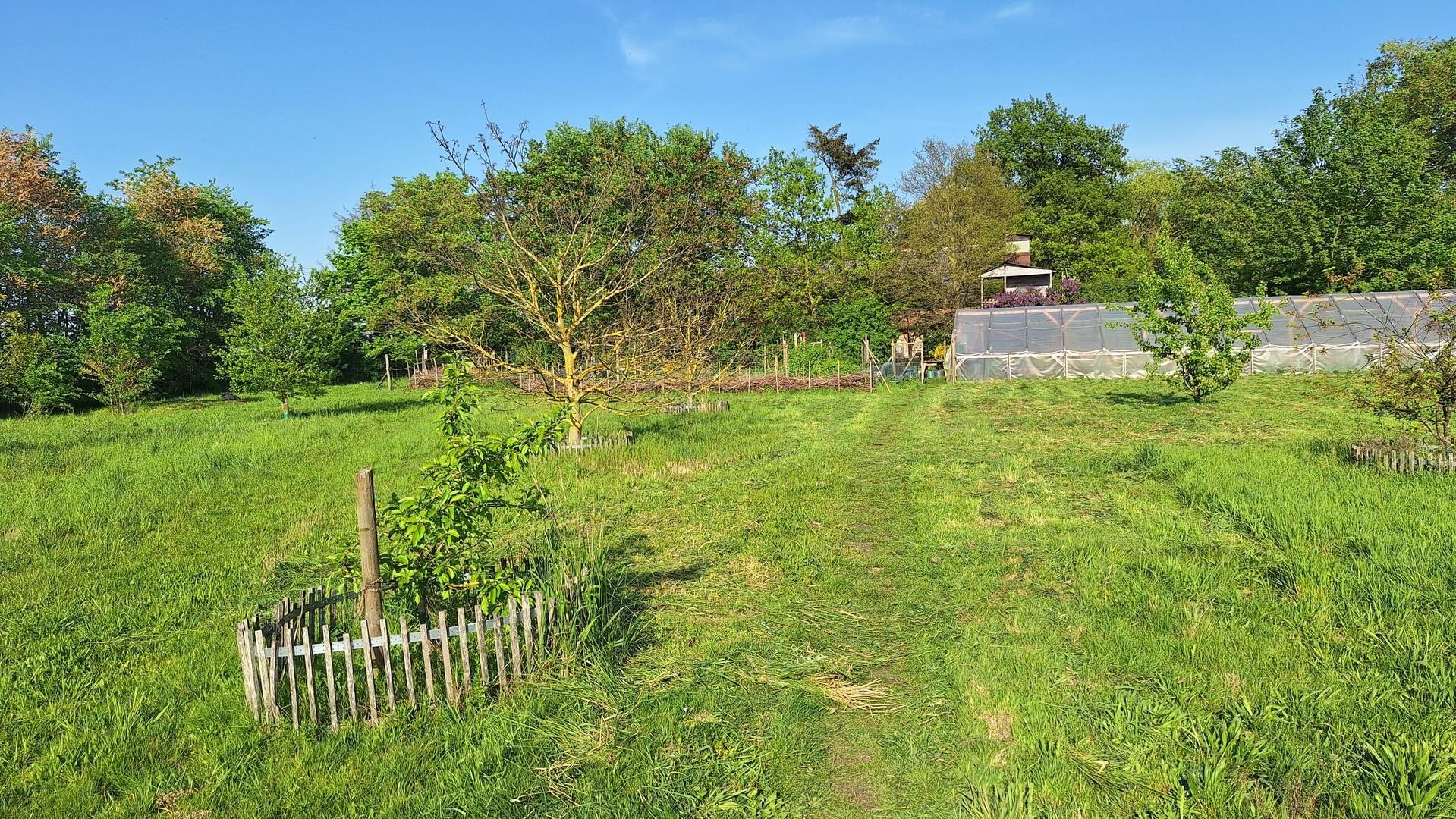 Obstwiese Nordseite