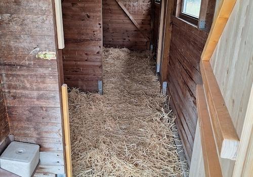Stall innen