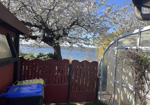 Sicht vom Carport zum See
