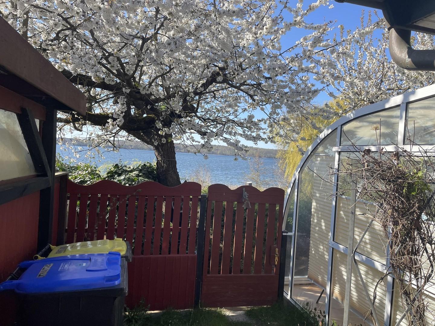 Sicht vom Carport zum See