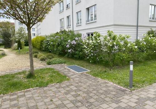 Blick auf den Garten