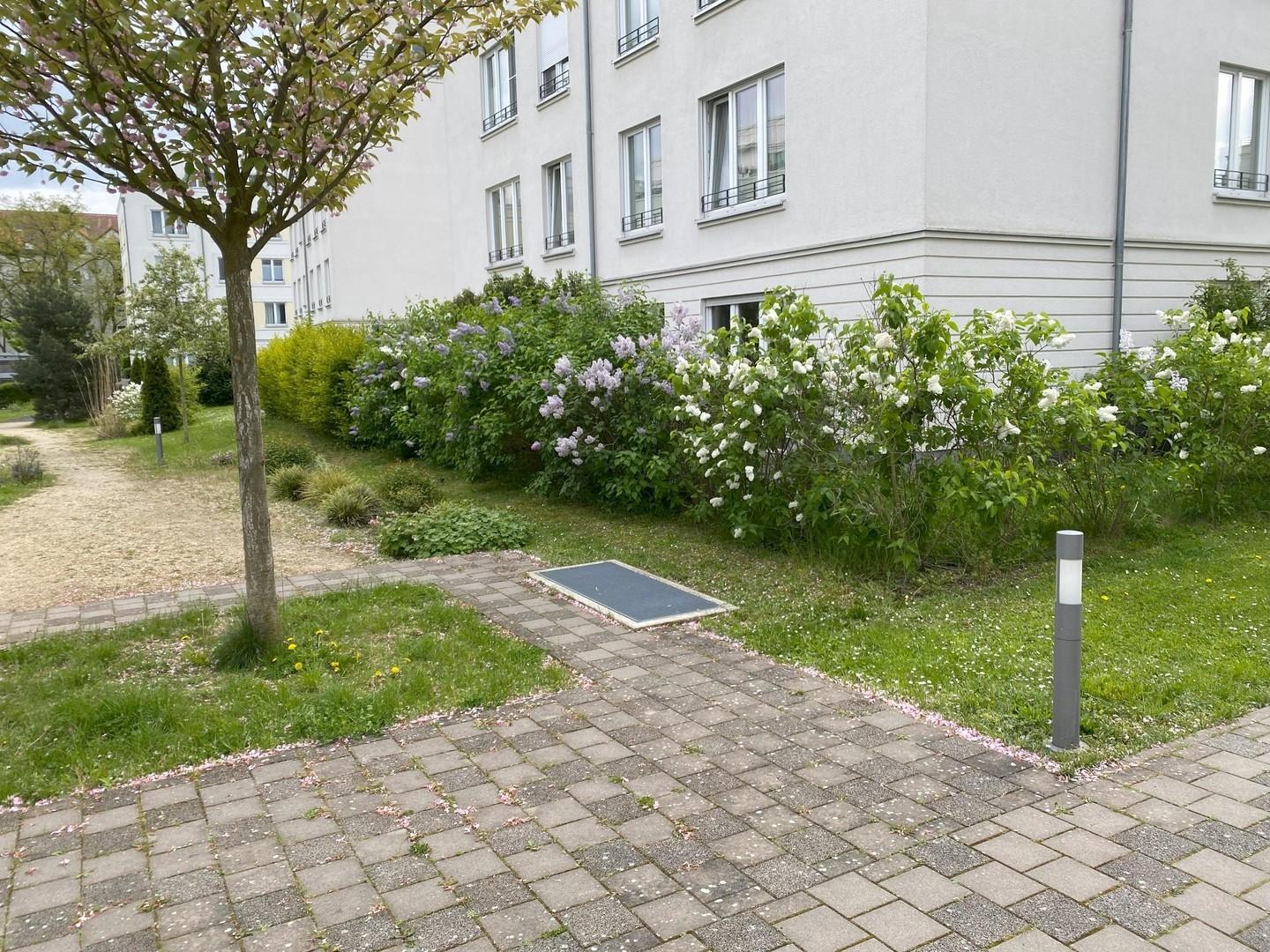 Blick auf den Garten